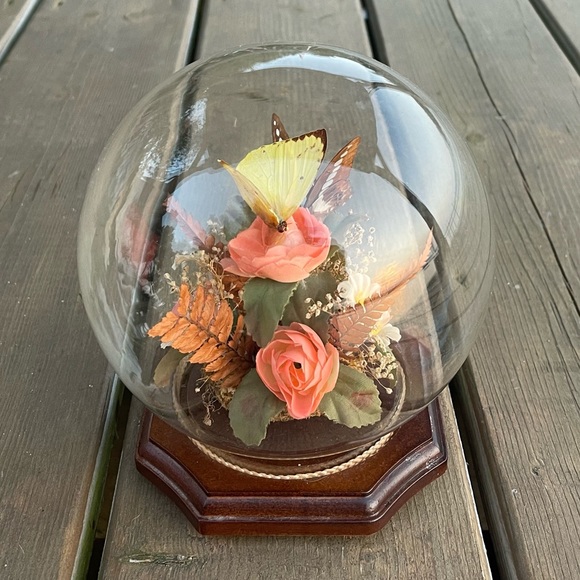 Vintage Real Butterfly Taxidermy Solid Glass Dome Globe Wood Base - Picture 4 of 12